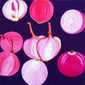 Pink Onions 2