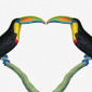 Two Toucans
