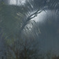 Tropical Reflection