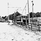 The Last Tram Home