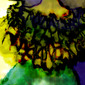 Sunflower IX