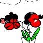 ORCHIDEA