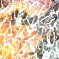 Marble Lights Surrender