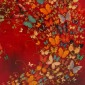 Butterflies on Red