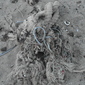 Tangled Up In Blue