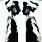 conflict/162