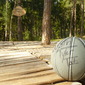 Softwood Basketball Court