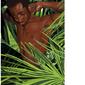 African boy