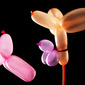 from the serie "sex toys"