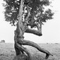 Jan Traylen Photography