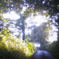 Dreamscape