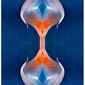 Mitosis