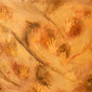 Cave of Hands