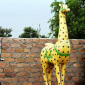 Elephant & Giraffe 