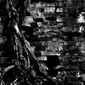 Old wall