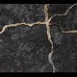 Colorado--from "between-states"