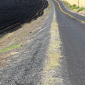 Slow Curve