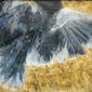 Quantum Ascension 10 Study