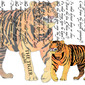 Tiger Tiger