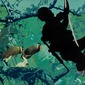 Solider And Birds