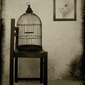 WISH YOU WERE HERE 4