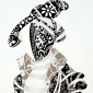 Lady VI