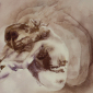 Her Shadows