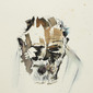 Grizzled