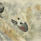 Lost Sole