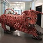 Coca Cola Bull