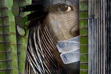 Collection FEAR NOT and say NO MORE WAR; created by Carolyn Buckley