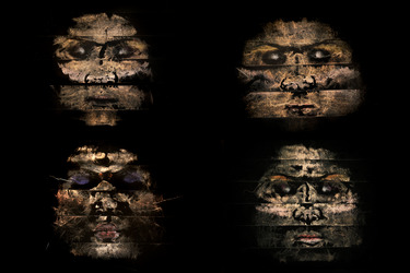 Collection Shroud Series (The Third Sex); created by Patrick Thompson