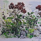 Shrubbery