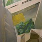 Steps