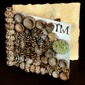 I'm a Seed in the Universe (exterior view)