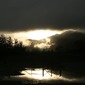 Dawn