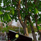Cemetery. Volgograd.