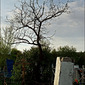 Cemetery. Volgograd.