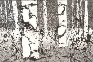 Collection Birchwood; created by Robert Bink