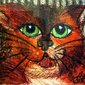 Siobhan Meow