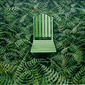 sitting in the bracken