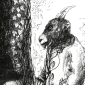The crazy goat ( etching )