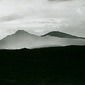 Debra Jan  Bibel
