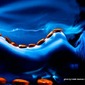 The Blue Stone