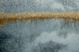 Philip Lee