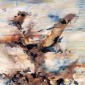 3-Luz de Acqua