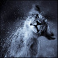 laurent baheux