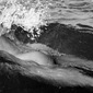 P852411 In the Wave