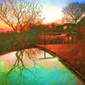 2 Trees, a pond, and a House in Africa by Ozborne-Whilliamsson