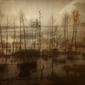 rust trees (2011)